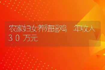 农家妇女养殖瑶鸡 年收入30万元