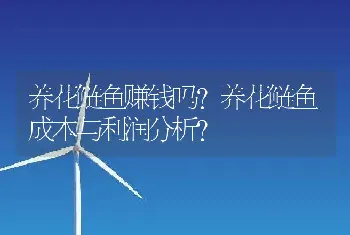 养花鲢鱼赚钱吗？养花鲢鱼成本与利润分析？