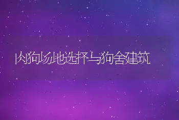 肉狗场地选择与狗舍建筑