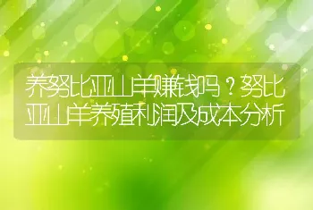 养努比亚山羊赚钱吗？努比亚山羊养殖利润及成本分析