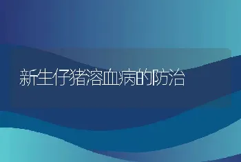 新生仔猪溶血病的防治