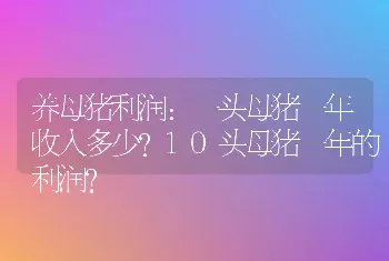 养母猪利润：一头母猪一年收入多少？10头母猪一年的利润？