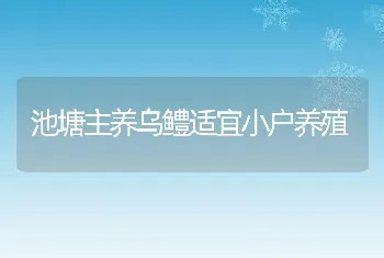 池塘主养乌鳢适宜小户养殖