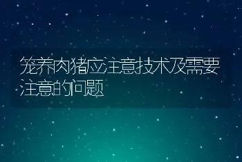 鱼竖鳞病怎么防治