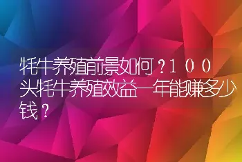 牦牛养殖前景如何？100头牦牛养殖效益一年能赚多少钱？