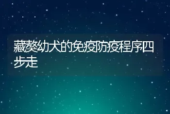 藏獒幼犬的免疫防疫程序四步走