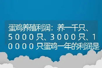 蛋鸡养殖利润：养一千只、5000只、3000只、10000只蛋鸡一年的利润是多少？