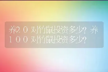 养20对竹鼠投资多少?养100对竹鼠投资多少?