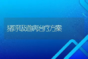 猪呼吸道病治疗方案