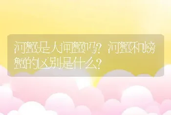 河蟹是大闸蟹吗?河蟹和螃蟹的区别是什么?