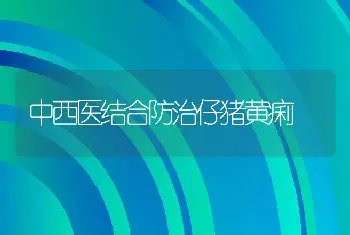 中西医结合防治仔猪黄痢