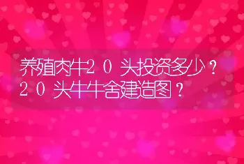 养殖肉牛20头投资多少？20头牛牛舍建造图？