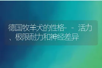 德国牧羊犬的性格--活力、极限耐力和神经差异