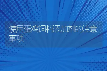 使用蛋鸡饲料添加剂的注意事项