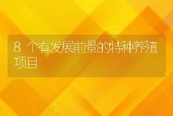 8个有发展前景的特种养殖项目