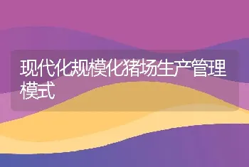 现代化规模化猪场生产管理模式