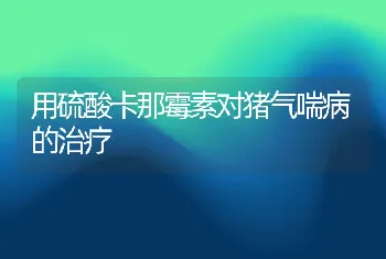 用硫酸卡那霉素对猪气喘病的治疗