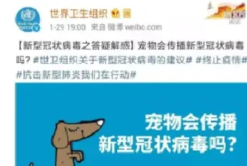 宠物狗会传染冠状病毒吗? 真相来了!