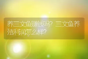 养三文鱼赚钱吗？三文鱼养殖利润怎么样？