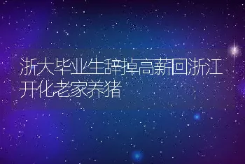 浙大毕业生辞掉高薪回浙江开化老家养猪