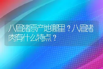 八眉猪原产地哪里？八眉猪肉有什么特点？