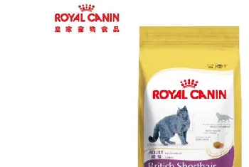 英短猫粮喂食时要注意什么？