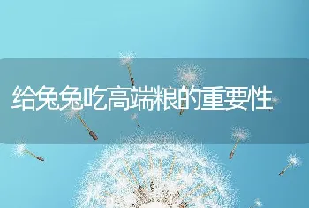 给兔兔吃高端粮的重要性