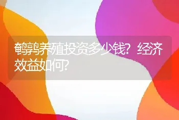 鹌鹑养殖投资多少钱?经济效益如何?