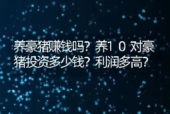 养豪猪赚钱吗？养10对豪猪投资多少钱？利润多高？