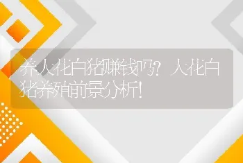 养大花白猪赚钱吗？大花白猪养殖前景分析！