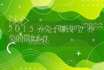 2015养兔子赚钱吗？养兔前景如何？