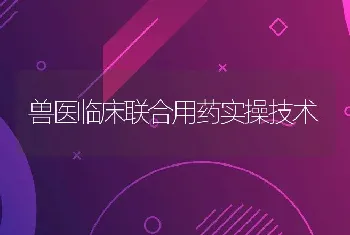 兽医临床联合用药实操技术