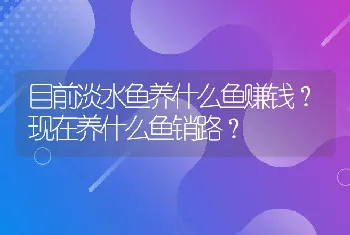 目前淡水鱼养什么鱼赚钱？现在养什么鱼销路？