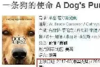 《忠犬八公》的导演回归了，请准备好眼泪和纸巾