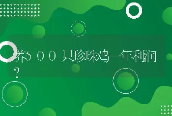 养500只珍珠鸡一年利润？