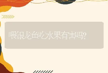 喂银龙鱼吃水果有害吗？