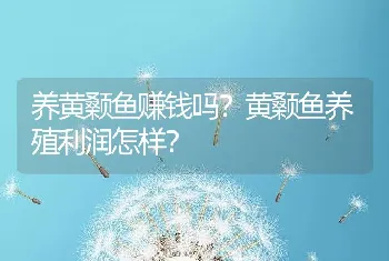 养黄颡鱼赚钱吗？黄颡鱼养殖利润怎样？