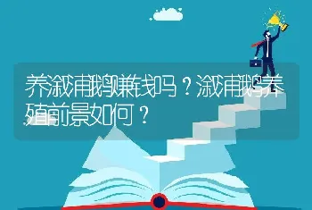 养溆浦鹅赚钱吗？溆浦鹅养殖前景如何？