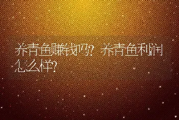 养青鱼赚钱吗?养青鱼利润怎么样？