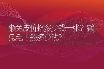 獭兔皮价格多少钱一张？獭兔毛一般多少钱？