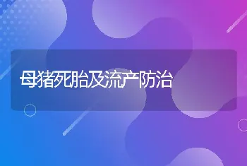 母猪死胎及流产防治