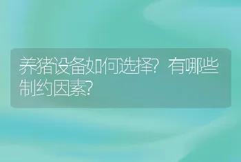 养猪设备如何选择?有哪些制约因素?