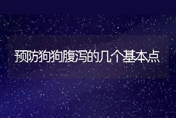 预防狗狗腹泻的几个基本点