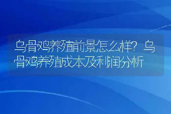 乌骨鸡养殖前景怎么样？乌骨鸡养殖成本及利润分析