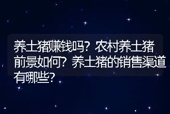 养土猪赚钱吗？农村养土猪前景如何？养土猪的销售渠道有哪些？