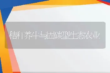 秸秆养牛与固碳型生态农业