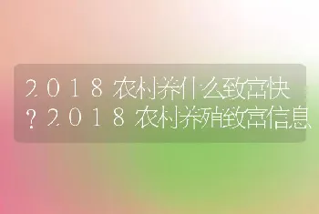 2018农村养什么致富快？2018农村养殖致富信息