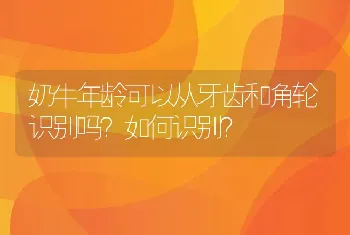 奶牛年龄可以从牙齿和角轮识别吗？如何识别？