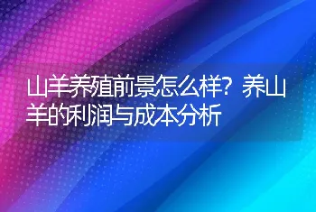 山羊养殖前景怎么样？养山羊的利润与成本分析