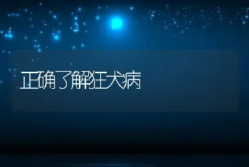 正确了解狂犬病